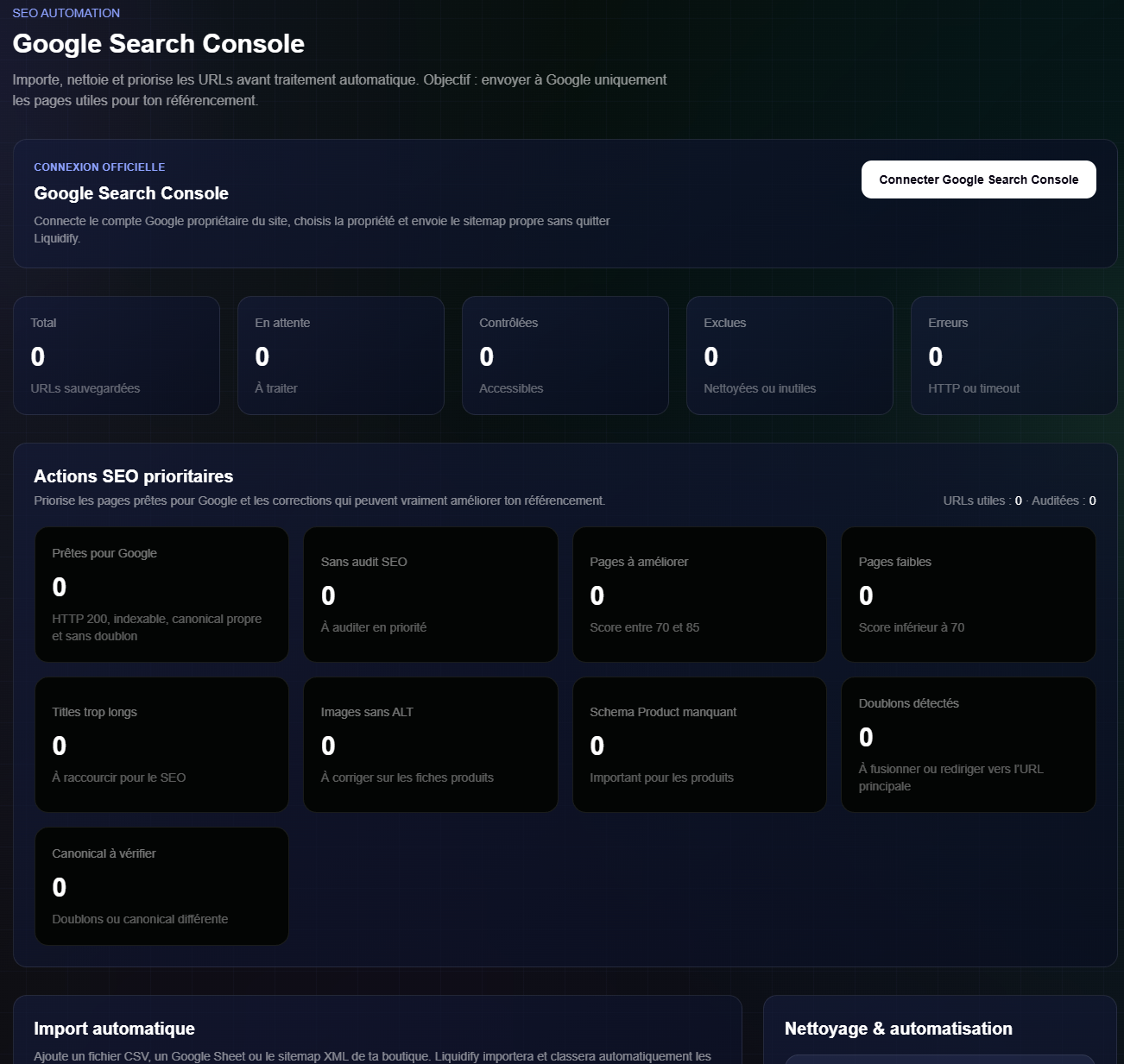 Interface Google Search Console dans Liquidify